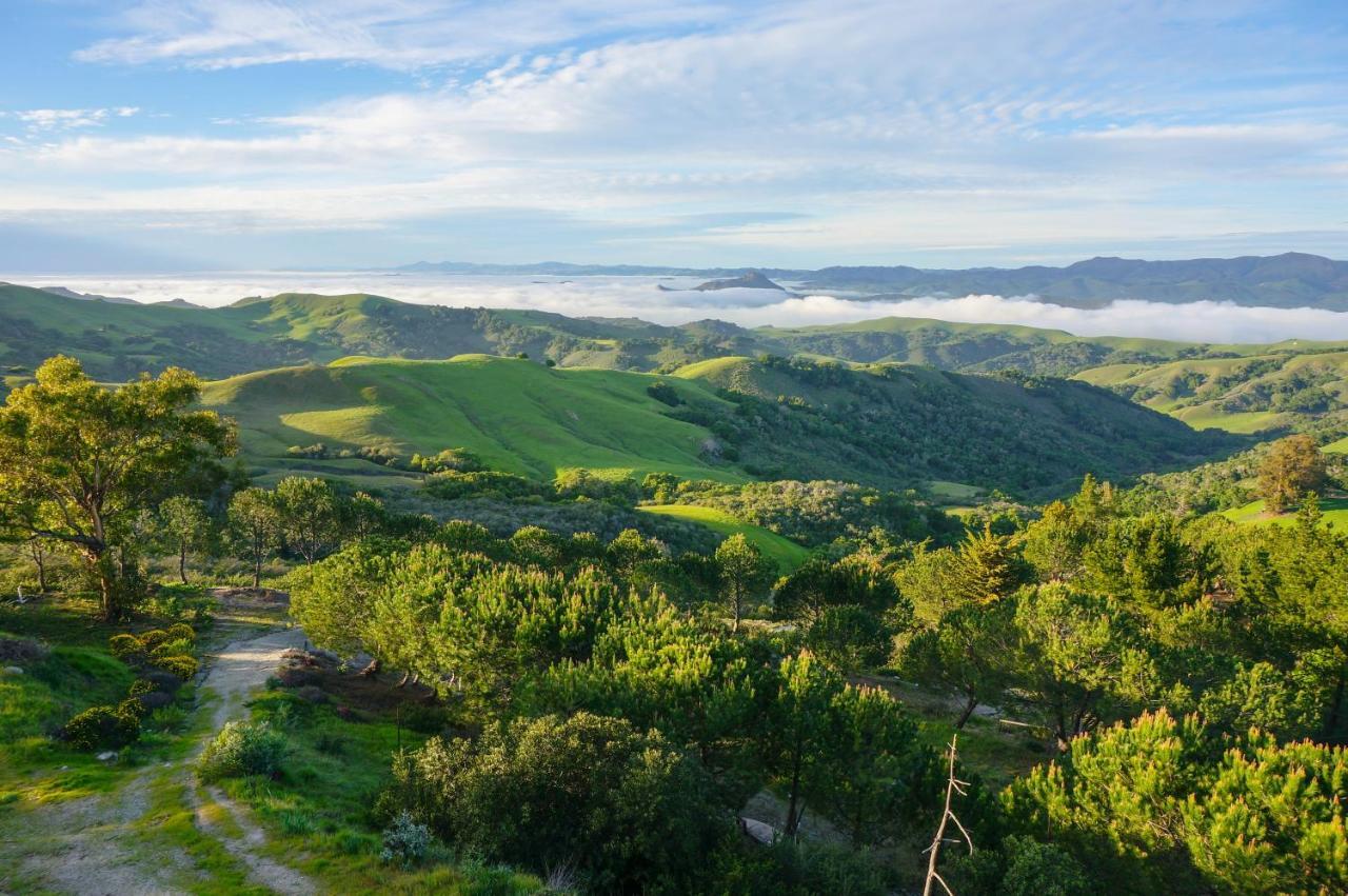 Mountain Top Getaway, Best View In Slo! - Whole House Сан Луис Оубиспоу Екстериор снимка